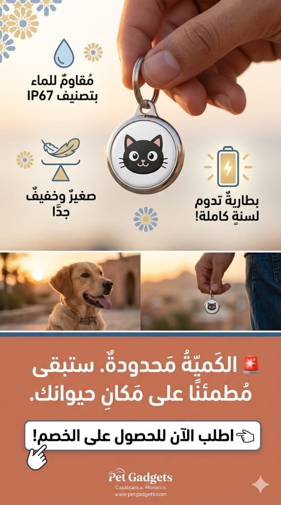 MiniMeow — suivi GPS pour animaux